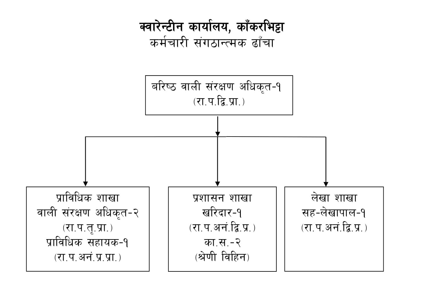 Organizational Structure